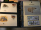 Delcampe - WWF - Lot De 2 Albums Avec Boites - Années 1980/90 - Documents, FDC, CP, TP ** - Excellent état - Collections, Lots & Séries