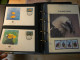 Delcampe - WWF - Lot De 2 Albums Avec Boites - Années 1980/90 - Documents, FDC, CP, TP ** - Excellent état - Collections, Lots & Séries