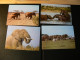 Delcampe - WWF - Lot De 2 Albums Avec Boites - Années 1980/90 - Documents, FDC, CP, TP ** - Excellent état - Collections, Lots & Series