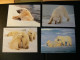 Delcampe - WWF - Lot De 2 Albums Avec Boites - Années 1980/90 - Documents, FDC, CP, TP ** - Excellent état - Lots & Serien