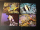 Delcampe - WWF - Lot De 2 Albums Avec Boites - Années 1980/90 - Documents, FDC, CP, TP ** - Excellent état - Collections, Lots & Séries