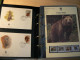 Delcampe - WWF - Lot De 2 Albums Avec Boites - Années 1980/90 - Documents, FDC, CP, TP ** - Excellent état - Collections, Lots & Series