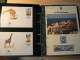 Delcampe - WWF - Lot De 2 Albums Avec Boites - Années 1980/90 - Documents, FDC, CP, TP ** - Excellent état - Collections, Lots & Series