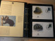 Delcampe - WWF - Lot De 2 Albums Avec Boites - Années 1980/90 - Documents, FDC, CP, TP ** - Excellent état - Lots & Serien