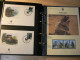 Delcampe - WWF - Lot De 2 Albums Avec Boites - Années 1980/90 - Documents, FDC, CP, TP ** - Excellent état - Lots & Serien