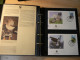 Delcampe - WWF - Lot De 2 Albums Avec Boites - Années 1980/90 - Documents, FDC, CP, TP ** - Excellent état - Lots & Serien