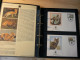 Delcampe - WWF - Lot De 2 Albums Avec Boites - Années 1980/90 - Documents, FDC, CP, TP ** - Excellent état - Collections, Lots & Séries