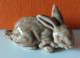 MINIATURE - MINIATURES ANIMAUX -  LAPIN - Dieren