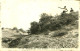 Belgique - Flandre Occidentale - Middelkerke - Dans Les Dunes - In De Duinen - Middelkerke