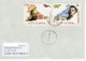 ROMANIA : POLAR EXPLORER, Circulated Cover - Registered Shipping! - Used Stamps