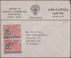 Delcampe - Nachlässe: ÜBERSEE/ALLE WELT - Umfangreicher BELEGE-Posten Mit Viel Material Von - Lots & Kiloware (mixtures) - Min. 1000 Stamps