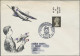 Nachlässe: 1900/2001 Ca., 2 Kartons Voller Karten, Briefe/FDC, Ganzsachen Und An - Kilowaar (min. 1000 Zegels)