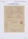 Delcampe - Deutsches Reich - Privatpost (Stadtpost): 1886/1906 "Hannover-Privatpost": Umfan - Private & Local Mails