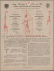 Delcampe - Deutsches Reich - Besonderheiten: 1870/1900 (ca.), Bestand Von Ca. 700 Briefböge - Andere & Zonder Classificatie