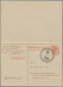 Delcampe - Deutschland Ab 1945 - Gebühr Bezahlt: 1945/1948, Umfangreiche Sammlung Ungebrauc - Sonstige & Ohne Zuordnung