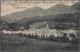 Delcampe - Ansichtskarten: Österreich: 1898/1940 (ca.), Partie Von Ca. 97 Alten Topographie - Otros & Sin Clasificación