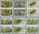 Delcampe - Belize: 1995/2015. Collection Containing 6720 IMPERFORATE Stamps Concerning Vari - Belize (1973-...)