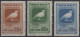 Delcampe - China: 1940/2000 (approx.), Collection On Stock Cards, Including Japanese Occupa - Briefe U. Dokumente