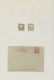 Delcampe - China - Local Post: 1878/1896, Amoy-Shanghai, Mint And Used On Pages Inc. Five S - Other & Unclassified
