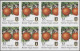 Virgin Islands: 2002/2008. Collection Containing 1319 IMPERFORATE Stamps And 20 - Iles Vièrges Britanniques