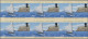 Delcampe - Cayman Islands: 2000/2013. Collection Containing 1066 IMPERFORATE Stamps (inclus - Iles Caïmans