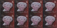 Delcampe - Cayman Islands: 2000/2013. Collection Containing 1362 IMPERFORATE Stamps (inclus - Kaimaninseln