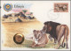 Ethiopia: 1894/2014: Comprehensive Collection Of Mint Stamps And Covers Well Wri - Ethiopia