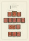 Delcampe - Australia: 1914/1919, 1d Red KGV (ACSC 71 & 72): PRINTING VARIETIES & SPECIALITI - Collections