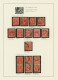 Delcampe - Australia: 1914/1919, 1d Red KGV (ACSC 71 & 72): PRINTING VARIETIES & SPECIALITI - Collezioni