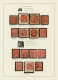 Delcampe - Australia: 1914/1919, 1d Red KGV (ACSC 71 & 72): PRINTING VARIETIES & SPECIALITI - Verzamelingen