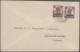 Pakistan: 1947-modern: Estate Of Pakistan Stamps And Covers, Not With A High Lev - Pakistan