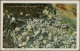 Puerto Rico: 1917/1924, Assortment Of 34 Used Ppc Incl. Real-photocards, Plus On - Porto Rico