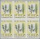 St. Lucia: 1990/1996. Collection Containing 4705 IMPERFORATE Stamps Concerning T - Ste Lucie (...-1978)