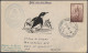 Thematics: Antarctic: 1948/1987, Collection Of Apprx. 200 Covers Bearing Argenti - Altri