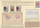 Delcampe - Thematics: Medicine & Health: 1870/2000 (ca.), VACCINATION, Exhibit On Eleven Pa - Medizin