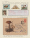 Thematics: Mushrooms: 1900/2006, Extensive Thematic Collection THE SECRET WORLD - Pilze