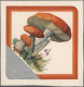 Delcampe - Thematics: Mushrooms: 1960/2000 (approx.), Comprehensive Stock Of Stamps, Mint A - Funghi