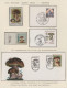 Delcampe - Thematics: Mushrooms: 1964/1994, Exhibition Collection THE SECRET WORLD OF MYCOL - Champignons