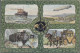 Thematics: Animals-horse Coaches: 1885/1990 (ca.), Assortment Of 46 Thematic Car - Horses