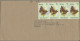 Thematics: Animals-butterflies: 1950/2000 (ca.), Holding Of Apprx. 500+ Covers/c - Papillons