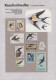 Delcampe - Thematics: Animals-birds: 1960/2000 (ca.), Comprehensive Thematic Collection Wit - Andere & Zonder Classificatie