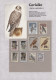 Delcampe - Thematics: Animals-birds: 1960/2000 (ca.), Comprehensive Thematic Collection Wit - Otros & Sin Clasificación