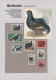 Delcampe - Thematics: Animals-birds: 1960/2000 (ca.), Comprehensive Thematic Collection Wit - Andere & Zonder Classificatie