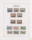 Belgium: 1930/1958 Air And Express Stamps: Double Collection Of All The Air Stam - Verzamelingen