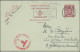 Belgium - Postal Stationery: 1940/1954, Cards "Heraldic Lion", Group Of 16 Comme - Sonstige & Ohne Zuordnung