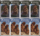Delcampe - Gibraltar: 2001/2014. Collection Containing 1562 IMPERFORATE Stamps (inclusive S - Gibraltar