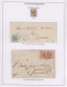 Delcampe - Luxembourg: 1847/1876, Les Cachets "PETIT FRANÇAIS", Exhibit Well Arranged On 66 - Sonstige & Ohne Zuordnung