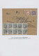 Österreich - Portomarken: 1894/1917, Spezialsammlung Im Ringbinder, Mit Vielen B - Postage Due
