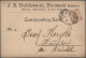 Delcampe - Österreich - Stempel: 1850/1900 Ca.: Kollektion Von Mehr Als 1000 Marken Im Albu - Frankeermachines (EMA)