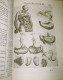 Delcampe - ANATOMIA DEL CUERPO HUMANO De JUAN VALVERDE 1560 FACSIMIL (NUEVO) - Alte Bücher